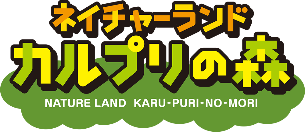 ネイチャーランド カルプリの森 - 軽井沢で自然体験アクティビティ！家族連れにも人気！